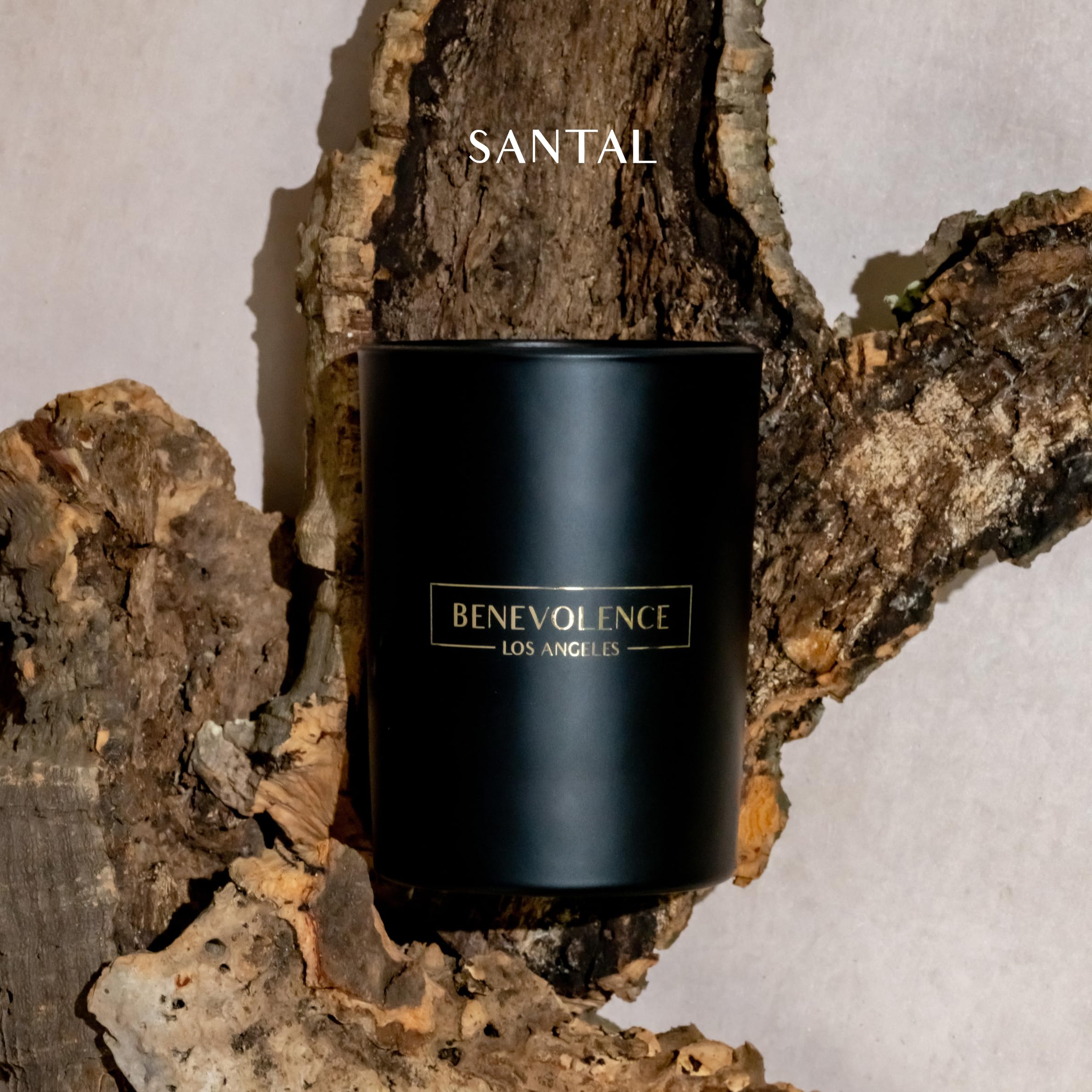 Benevolence LA Santal Scented Candle  10 oz Scented Candles for Home  Natural Soy Candles Gifts for Women, Aromatherapy Candle,